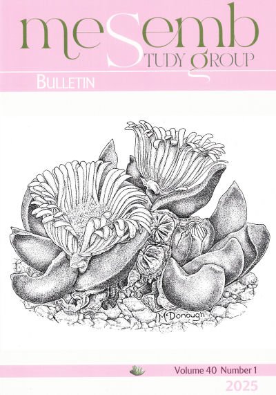 Example Journal cover